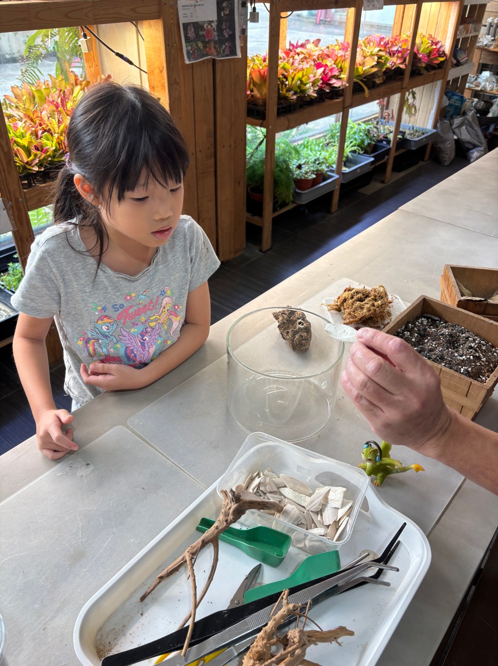 DIY Isopod Terrarium at Green&nbsp;Chapter