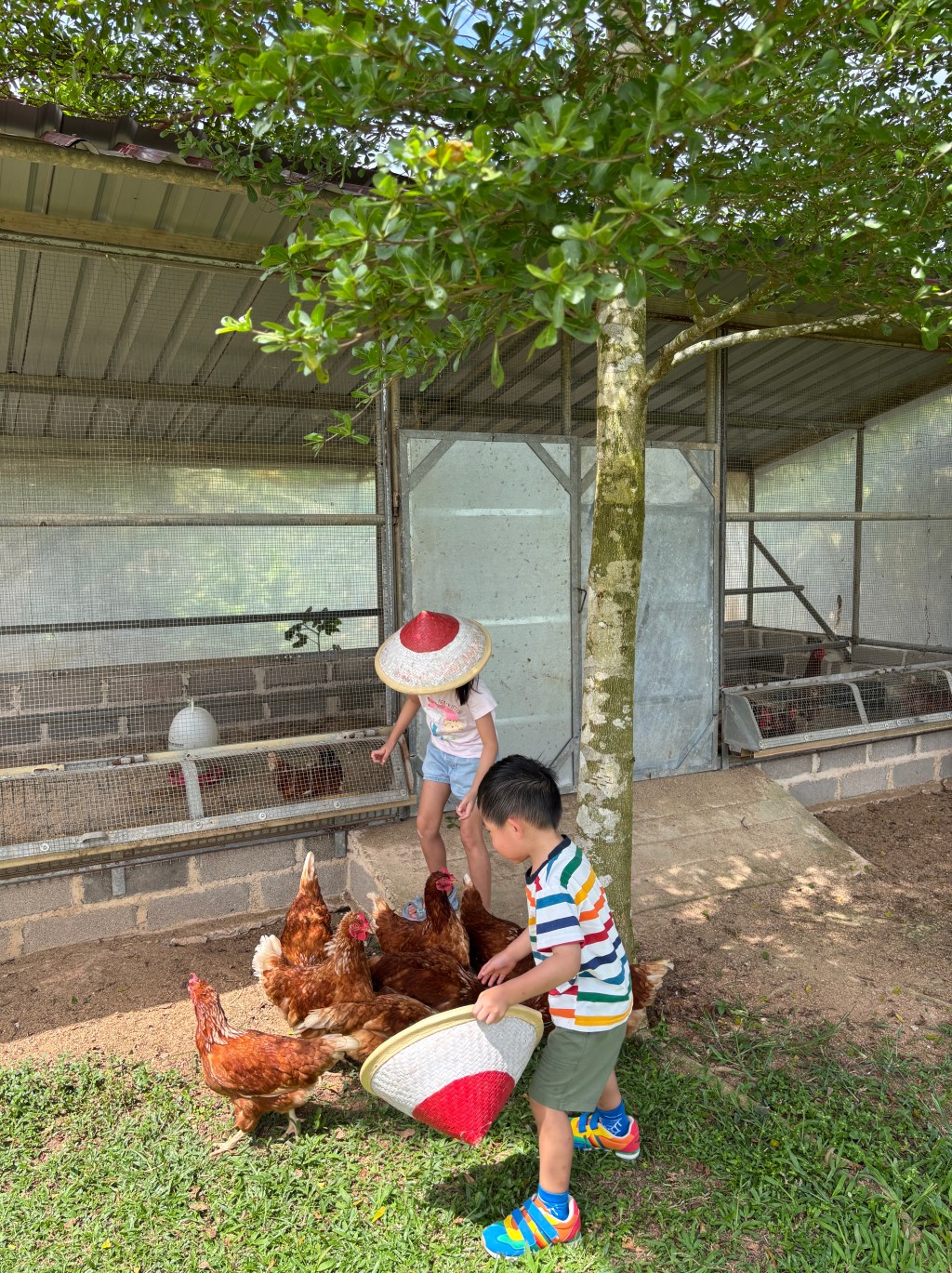 3D2N Bintan Easter Weekend Getaway Part 2 – A Wild Day Out & One Happy Birthday&nbsp;Girl