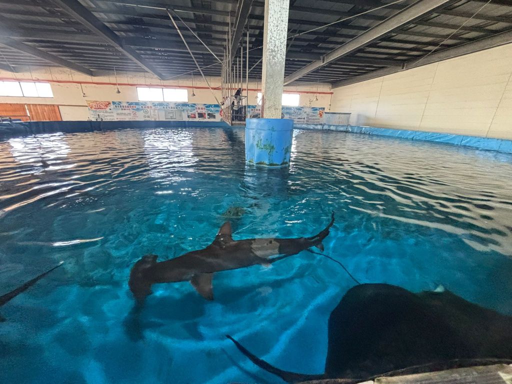 7D6N in Taiwan: King Car Biotechnology Aquaculture Science Center & Wen Yao Chicken&nbsp;(Jiaoxi)